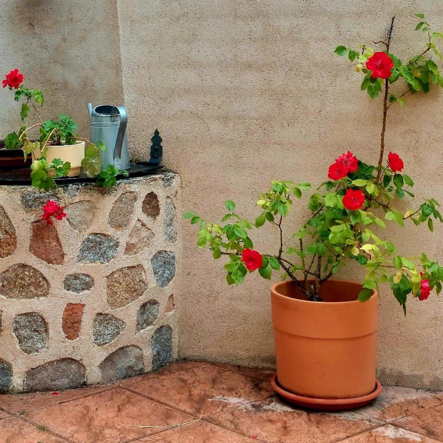 El Fresno Casa Rural Abuela Reme المظهر الخارجي الصورة